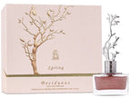 Aurora Deciduous Winter | Aurora Deciduous Summer | Aurora Deciduous Spring | Eau de Parfum 100 ml + 9 ml